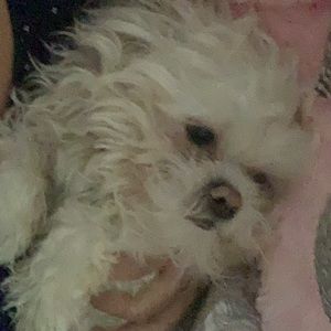 Meet your Posher, Ruth